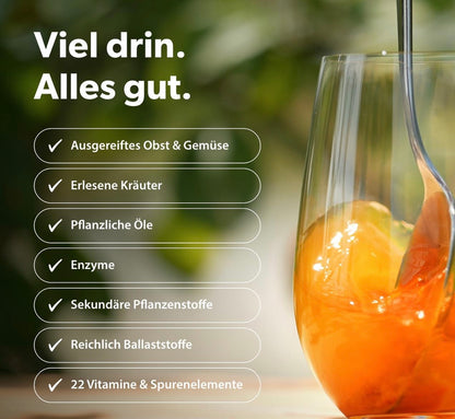LaVita Konzentrat 500 ml