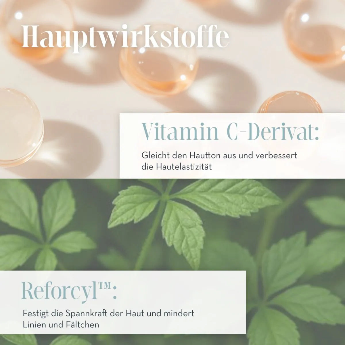 CRÈME DÉCOLLETÉ VITAMIN C