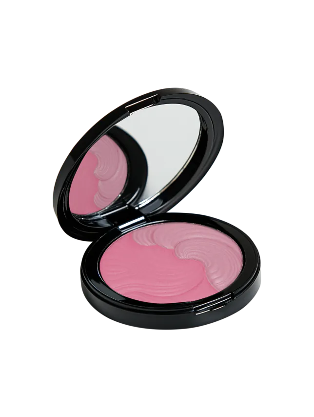BLUSHER POWDER NO. 01