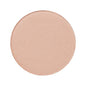 EYE SHADOW POWDER NO. 01