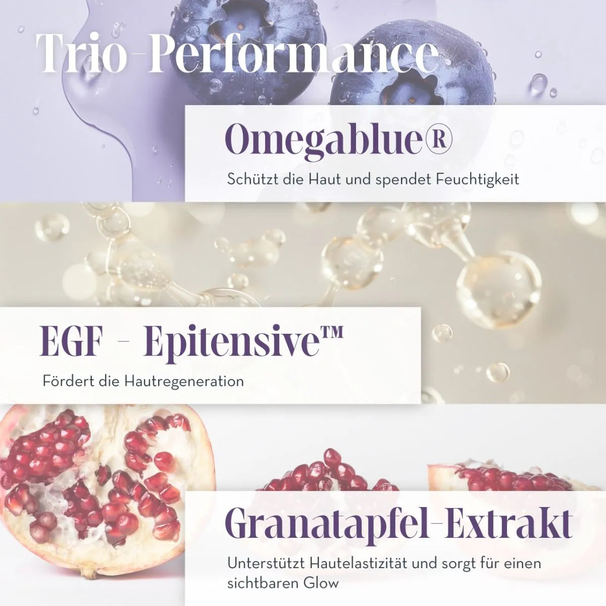 CRÈME EGF EFFET INTENSE